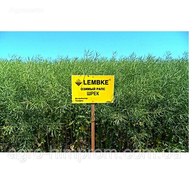 Ripak ozimiy Shrek NVC Lembke / NPZ Lembke Nimechchina, Pozniy semilla de cultivos de campo